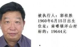 梅州老赖爆料事件视频,揭开债务纠纷背后的真相